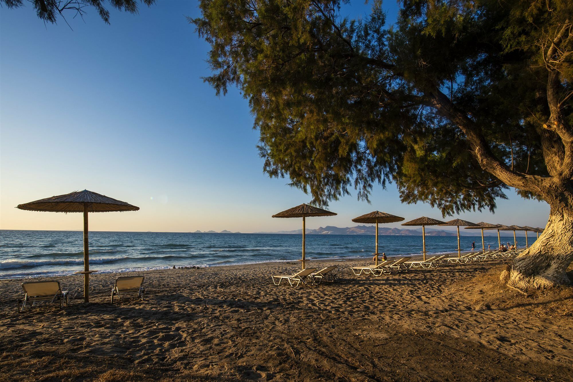 Angela Aparthotel Kos Bagian luar foto